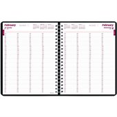Brownline Professional Daily Appointment Book