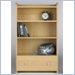 Ameriwood CA Closets Top Unit with Drawer