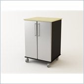 Ameriwood 2 Door Cart in Gray