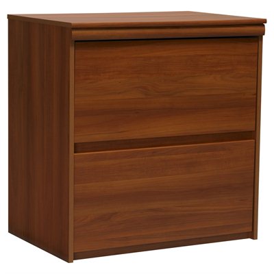Ameriwood Industries 2 Drawer Lateral Wood File Storage Cabinet