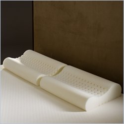 Comfort Magic Personal Anti-snore Memory Foam Contour Pillows (Set of 2)