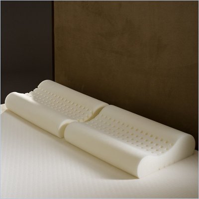Comfort Magic Personal Anti-snore Memory Foam Contour Pillows (Set of 2)