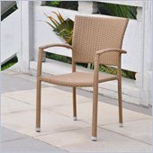 International Caravan Barcelona Wicker Patio Chairs in Honey(Set of 2)