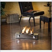 Holly & Martin Hudson Portable Indoor/Outdoor Gel Fireplace in Clear Glass