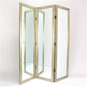 Wayborn Mirror w/ Frame Full Size Dressing Room Divider in Silver