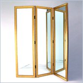 Wayborn Mirror w/ Frame Full Size Dressing Room Divider in Gold