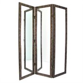 Wayborn Mirror w/ Frame Full Size Dressing Room Divider in Brown/Gold