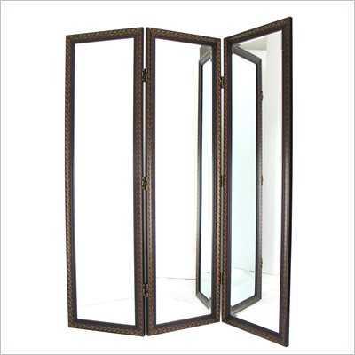 Wayborn Mirror w/ Frame Full Size Dressing Room Divider in Brown/Gold