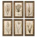 Uttermost Wheat Grass Framed Art (Set of 6)
