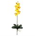 Nearly Natural Phalaenopsis Stem in Gold (Set of 12)