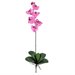 Nearly Natural Phalaenopsis Stem in Mauve (Set of 12)