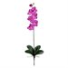 Nearly Natural Phalaenopsis Stem in Orchid (Set of 12)