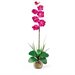 Nearly Natural Single Phalaenopsis Liquid Illusion Silk Flower Arrangement
