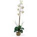 Nearly Natural Single Phalaenopsis Liquid Illusion Silk Flower Arrangement in Cream