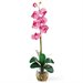 Nearly Natural Phalaenopsis Liquid Illusion Silk Flower Arrangement in Dark Pink