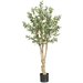 Nearly Natural 5' Olive Silk Tree in Green
