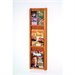 Wooden Mallet 3 Magazine and 6 Brochure Wall Display in Medium Oak