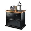 ADD TO YOUR SET: Kathy Ireland By Martin Southampton Office 2 Drawer Lateral File in Distressed Onyx