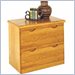 Kathy Ireland Home by Martin Furniture Waterfall 2 Drawer Lateral File Storage Cabinet