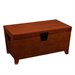 Southern Enterprises Pyramid Storage Trunk Coffee Table in Mission Oak