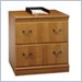 Bush Furniture Citizen Executive 2 Drawer Lateral Wood File Storage Cabinet in Oak Finish