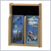 Safco Expose Oak/Black 2 Pamphlet Display