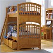 Pulaski Build-A-Bear Bearrific Kids Bunk Bed in Cocoa Finish