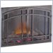 Napoleon Decorative Door Kit with Screen for Casaloma Fireplaces