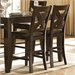 Trent Home Crown Point Counter Height Dining Chair in Merlot (Set of 2)