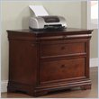 ADD TO YOUR SET: Wynwood Rue De Lyon 2 Drawer Lateral Wood File in Cognac Cherry
