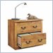 Cottage Home Collection 2 Drawer Lateral File Storage Cabinet in Bishop Pine Finish