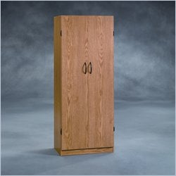 Sauder Beginnings Storage Cabinet in Oregon Oak