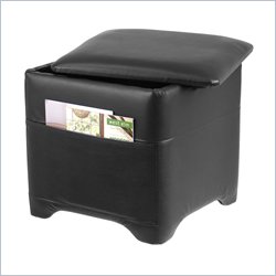 Winsome Ashford Square Ottoman with Storage in Black