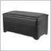 Winsome Ashford Rectangle Ottoman with Storage in Black