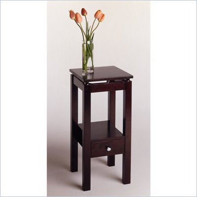 Winsome Linea Brown Wood End Table with Chrome Accents in Dark Espresso