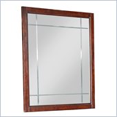 Broyhill Antiquity Vertical Dresser Mirror in Deep Velvet