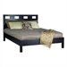 Modus Furniture Nevis Riva Modern Low Profile Platform Bed in Espresso-King