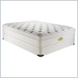 Simmons Natural Care Stephens Drop Top Pillow Top Mattress Set