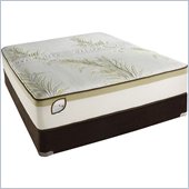 Simmons Natural Care Prattsville Deluxe Plush Mattress