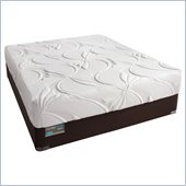 Simmons BeautyRest ComforPedic Alive Luxury Firm Mattress Set