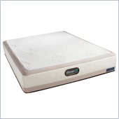 Simmons BeautyRest TruEnergy Brielle Evenloft Plush Firm Mattress