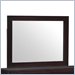 Lifestyle Solutions New Hampshire Mirror in Wenge