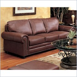 Coaster Furniture Hudson Bay Brown Leather Sofa
