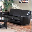 Coaster Furniture Bycast Espresso Brown Leather Sofa