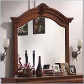 Coaster  Traditional Mirror in Rich Caramel Finish