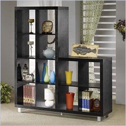 Coaster  Wall Unit Bookcase in Black