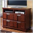 ADD TO YOUR SET: Coaster Hyland Media Chest