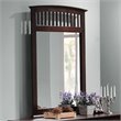 ADD TO YOUR SET: Coaster Tia Vertical Mirror in Warm Cappuccino Finish