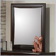 ADD TO YOUR SET: Coaster Phoenix Mirror in Cappuccino Finish