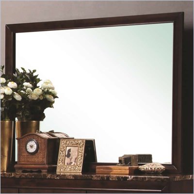 Coaster Conner Landscape Mirror in Dark Walnut